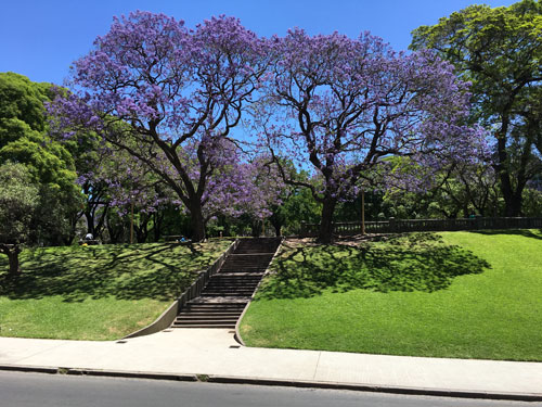 buenos-2.jpg