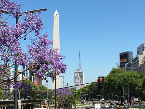 el obelisco junto a los jacarandás