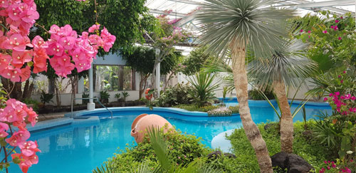 hotel continental piscina