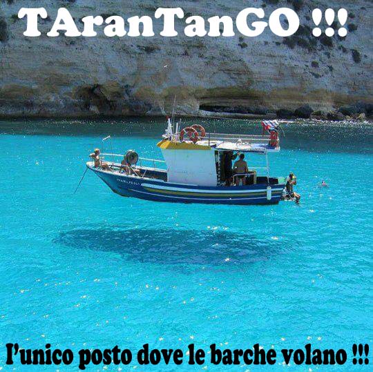 le barche di tarantangoo 